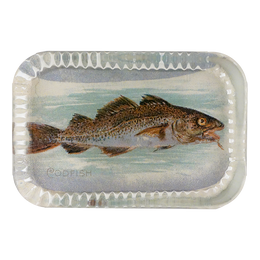 Cod Fish (Fish)