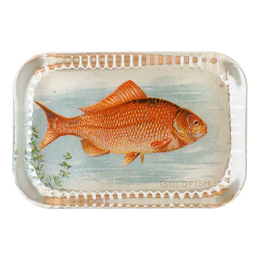 Goldfish (Fish)