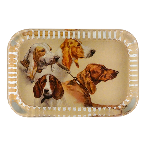 Hounds