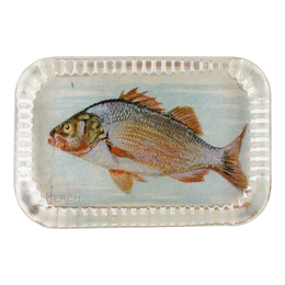 Perch (Fish)