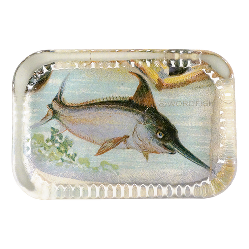 Swordfish (Fish)