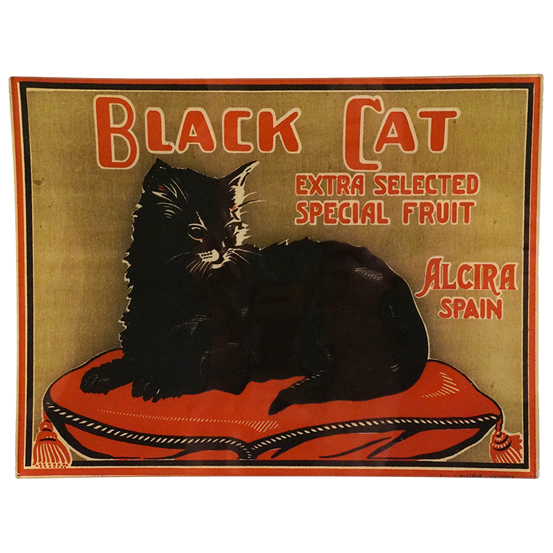Black Cat Alcira Spain