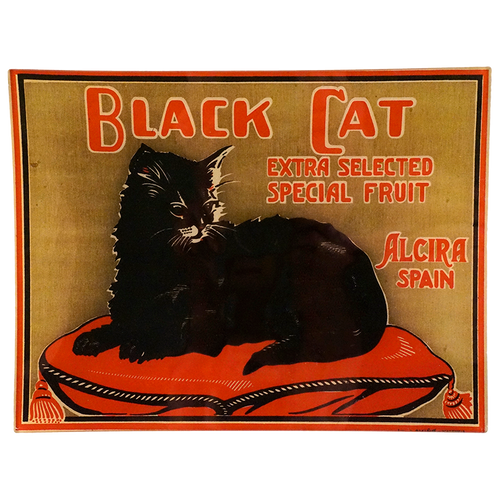 Black Cat Alcira Spain