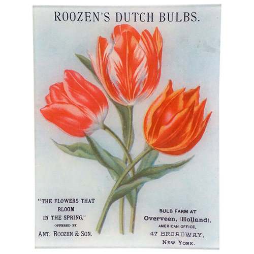 Roozen's