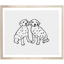 Dalmatian Puppies