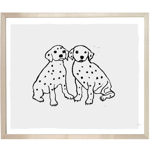 Dalmatian Puppies