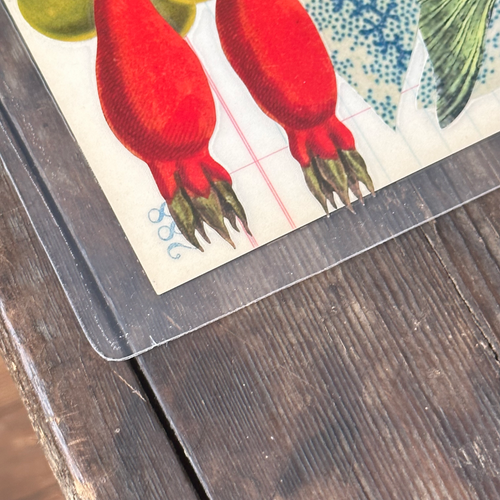 One of a Kind Collaged Fish Mat Pair