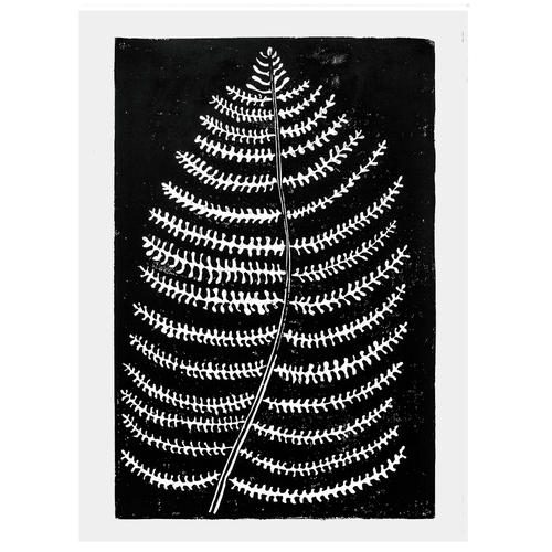 Fern