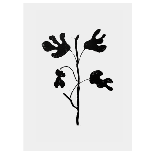 Fig Tree