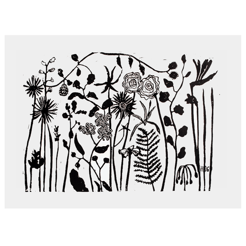 Florabunda 1