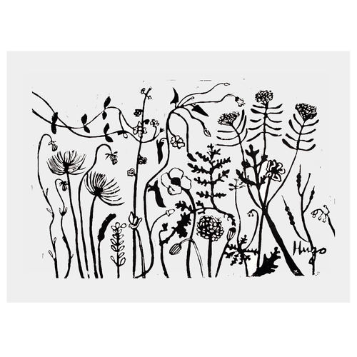 Florabunda 2