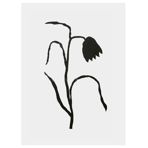 Fritillary