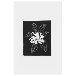 Gardenia