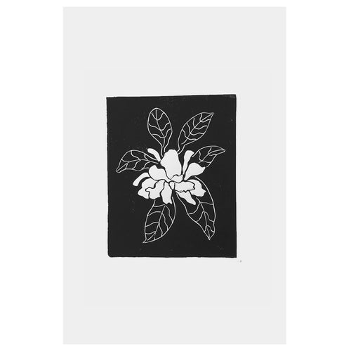Gardenia