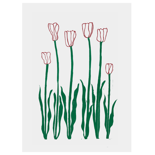 Red & Green Tulips