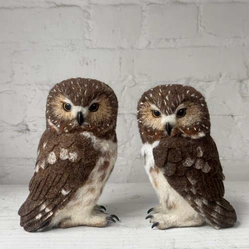 Needle Felted Left Facing Saw-Whet Owl