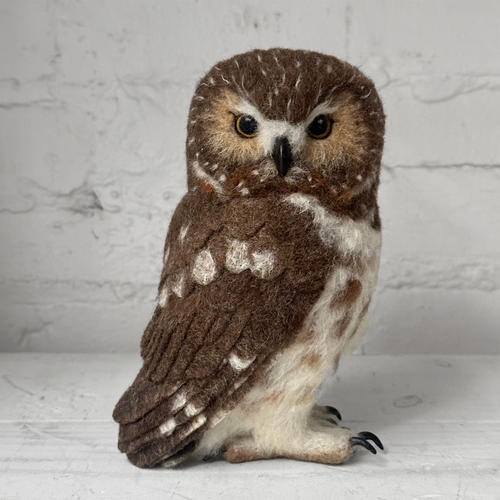 Needle Felted Left Facing Saw-Whet Owl