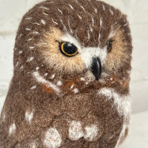 Needle Felted Left Facing Saw-Whet Owl