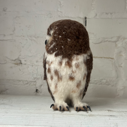Needle Felted Left Facing Saw-Whet Owl