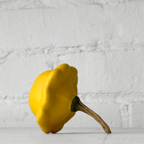 Porcelain Patty Pan