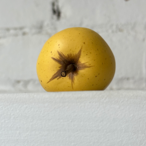 Porcelain Windfall Golden Delicious Apple