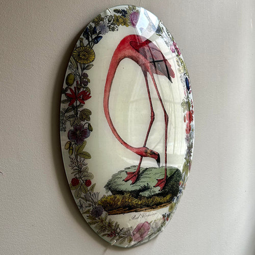 Flamingo with Flowers (Convex)