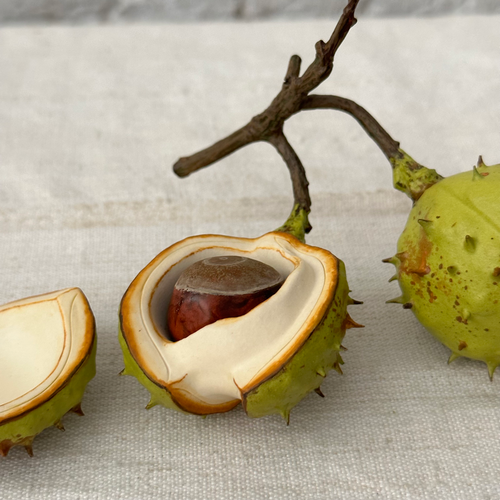Double Porcelain Horse Chestnut with Removable Chestnut