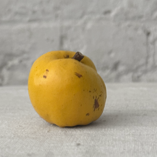 Porcelain Small Quince