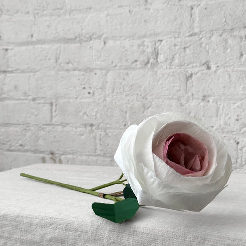 The Green Vase Chevalier Rose Stem (No. 1)