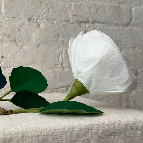 The Green Vase Chevalier Rose Stem (No. 1)