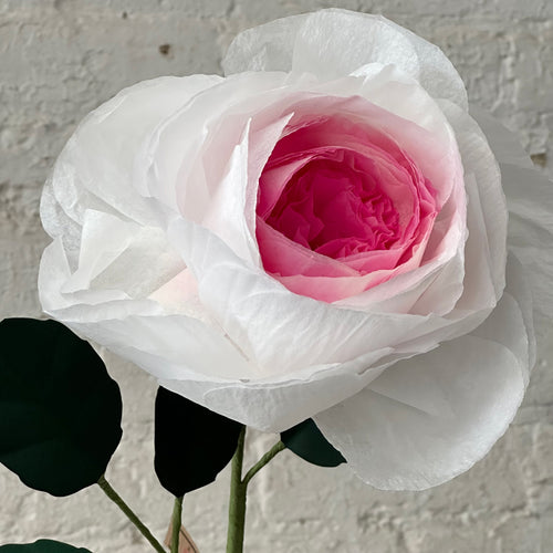 The Green Vase Chevalier Rose Stem (No. 2)