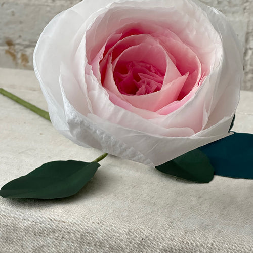 The Green Vase Chevalier Rose Stem (No. 3)