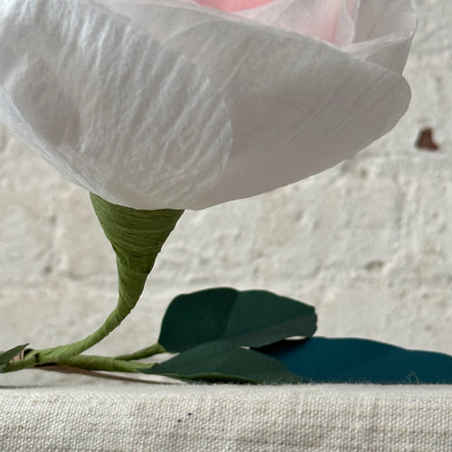 The Green Vase Chevalier Rose Stem (No. 3)