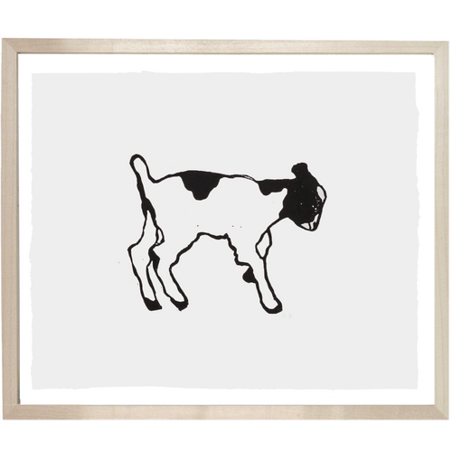 Kid Goat