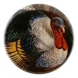 A Happy Thanksgiving