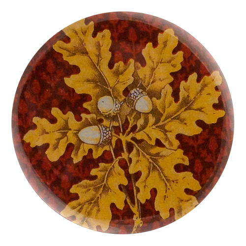 Acorn Card Back