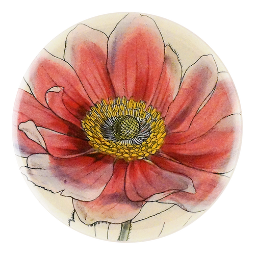 Anemone Japonica Pink