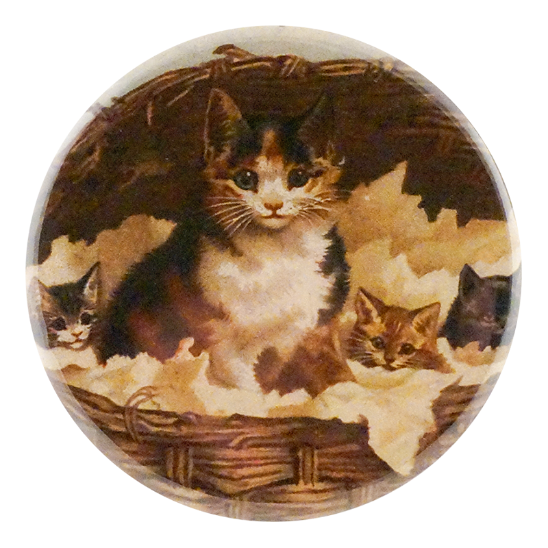 Cat Basket