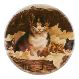 Cat Basket