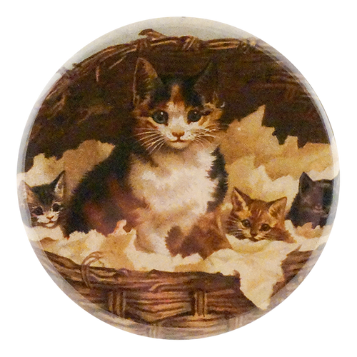 Cat Basket