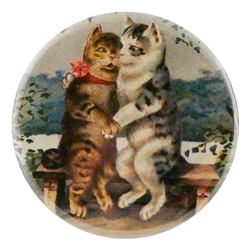 Cat Lovers