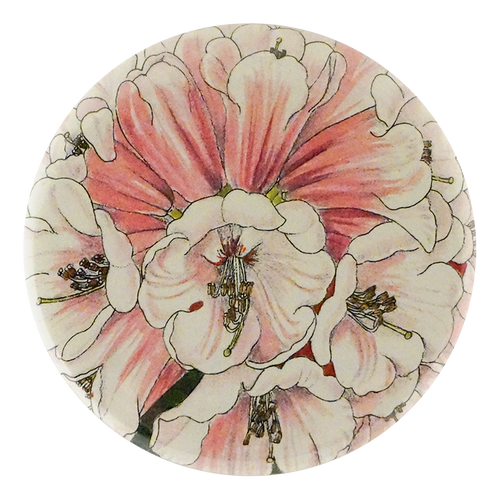 Rhododendron Fulvum