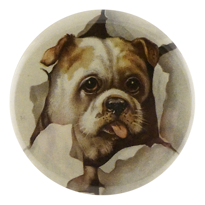 Doggie