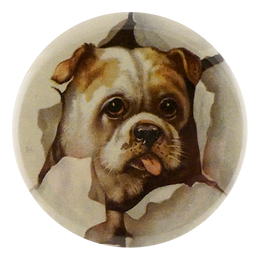 Doggie