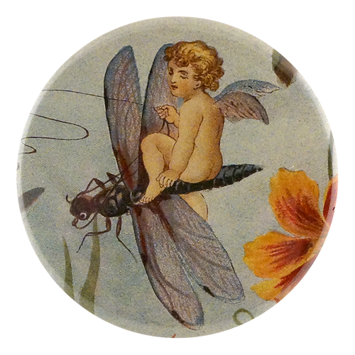 Fairy Dragonfly