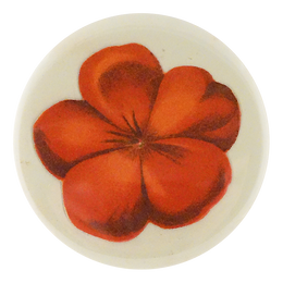 Geranium Fleuret 1