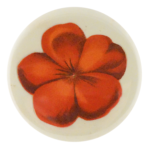 Geranium Fleuret 1
