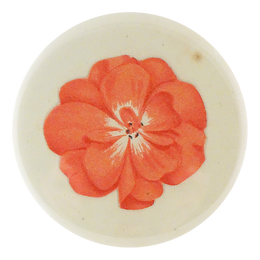 Geranium Fleuret 2