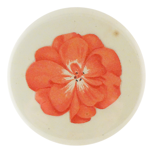 Geranium Fleuret 2