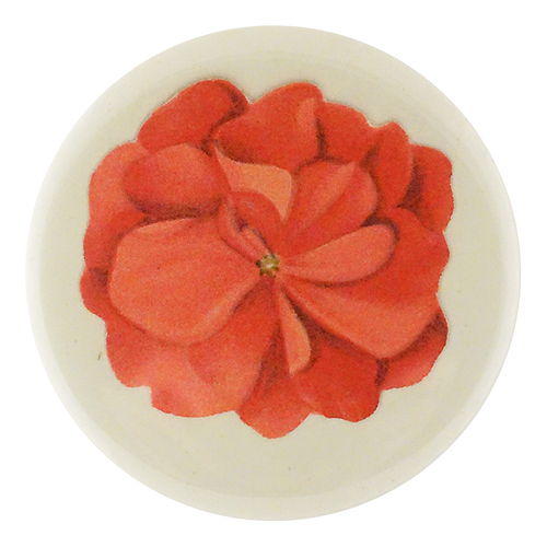 Geranium Fleuret 3